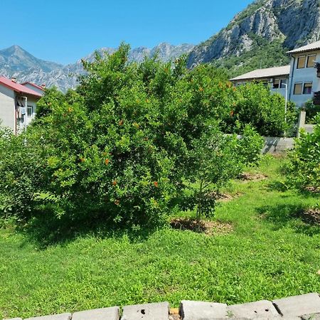Apartments Luka Κότορ Εξωτερικό φωτογραφία
