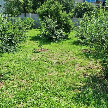 Apartments Luka Κότορ Εξωτερικό φωτογραφία